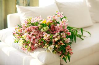 Boutique Spa Casino Hotel Lybid Plaza - 3