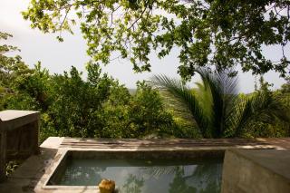 El Templo- Jungle Mirador - 2