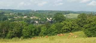 Le cledier de cherveix - 8