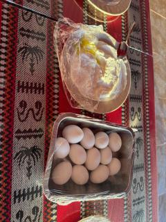 Wadi rum sky luxury - 6