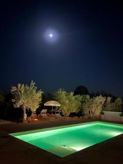 Luxury Trulli di Giulia, exclusive villa with private pool - 8