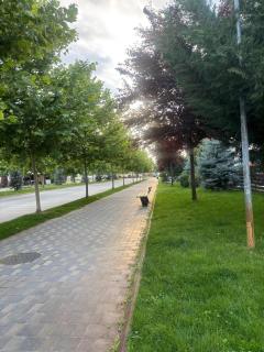 Greenfield residence - 5