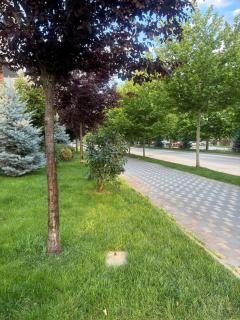 Greenfield residence - 1