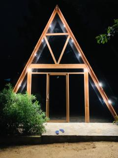 The golden canopy - 0