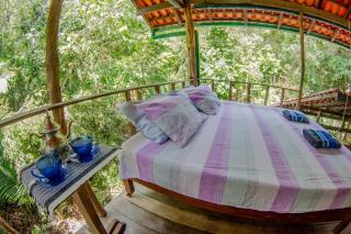 Casa Amazônica na Floresta Encantada - 3