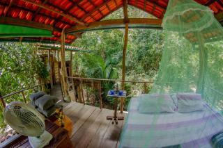 Casa Amazônica na Floresta Encantada - 1