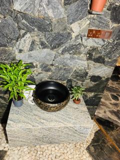 The golden canopy - 4