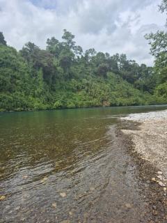 Cabaña Rio Bueno - 2