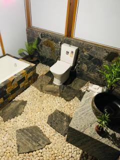 The golden canopy - 7