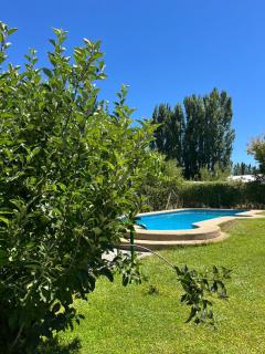 Parcela Paulita - Quillón - 9