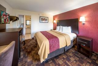 Red Roof Inn Anderson, IN - 6