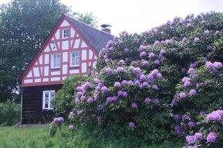 Ferienhof Zollfrank - 3