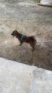 Cabañas Puertas del Sol - 3