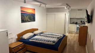 Mellau Appartments 220 - 9