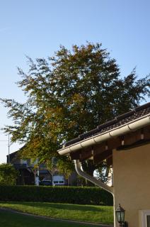 Gästehaus Windhagen - Windhagen - 3