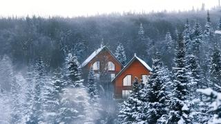 Chalet Aigle Ski in-out Appalaches Park 16 Guests - 5