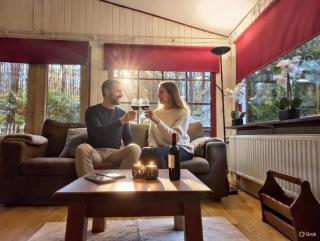 chalet bosrust nr 38 - 7