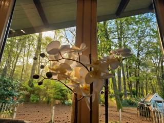 chalet bosrust nr 38 - 8