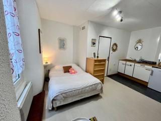 Le Cocon 54 Studio à Rives Parking facile - 4