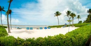 Palm trees. Ocean Breeze. Salty Air. Sunkissed Hair. Endless Summer.- Mariner's Boathouse - Roelens - 7