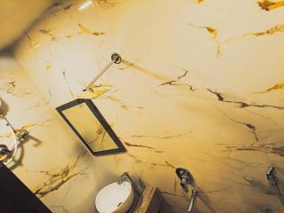 Gita Raman Palace - 2