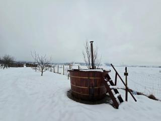 Cabana Soarelui - Valisoara - 6