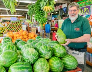 La casita tropical - 8