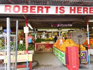 La casita tropical - 5