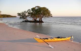 La casita tropical - 4