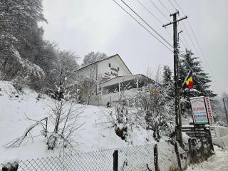 Pensiunea Alpina - 0