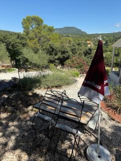 Chalet with a view of Pic Saint Loup, large garden - 1