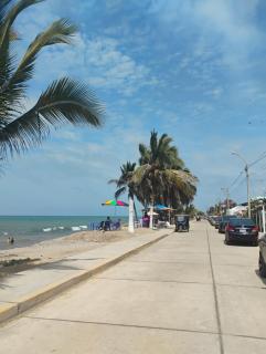 Vista Palmeras Zorritos - 9