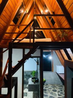 The golden canopy - 8