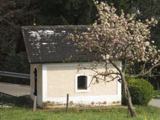 Lippschneiderhof Urlaub auf dem Bauernhof - 5