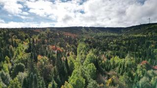 Chalet Ours Ski in-out Appalaches Park 16 Guests - 3