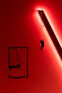 Love Room L'Ombre du Désir Secret - 5