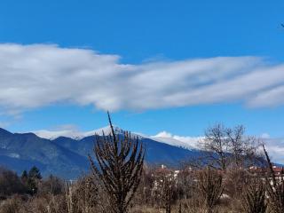 Ментовото кътче на Катя - Bansko - 7