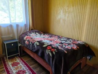 Cabaña El Cobre - 1