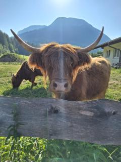 Schernhof Hoamatzeit - Tiroler Bauernhof - 8