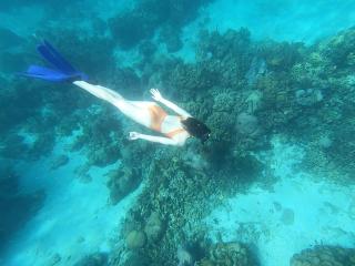 Accommodation on a coral island with turquoise sea - 8