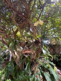 Casa com acesso a piscina e área kids - 1