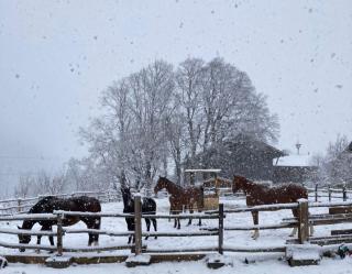 Schernhof Hoamatzeit - Tiroler Bauernhof - 7