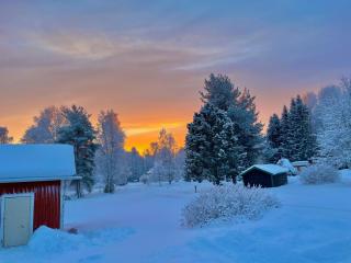 The Little Owls Nest - 8