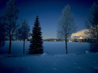 The Little Owls Nest - 6