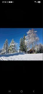 Kopitnik cosy cabin - 7