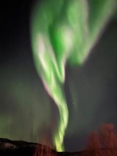 Mountain apartment in Målselv Fjellandsby - 1