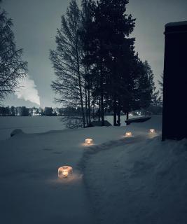 The Little Owls Nest - 5