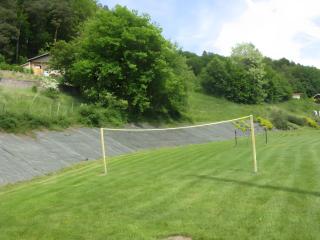 Chalet 4 Clôturé 8 Min Cascades - Pouxeux - 1