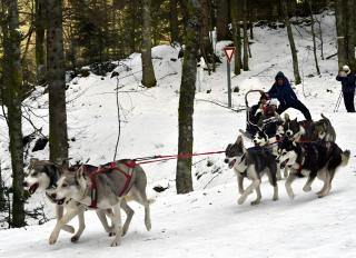 Chalet 4 Clôturé 8 Min Cascades - Pouxeux - 2