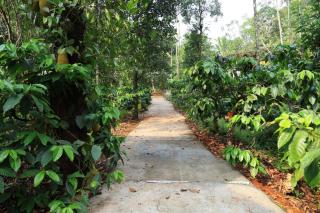 Thazhvaram Homestay - 8